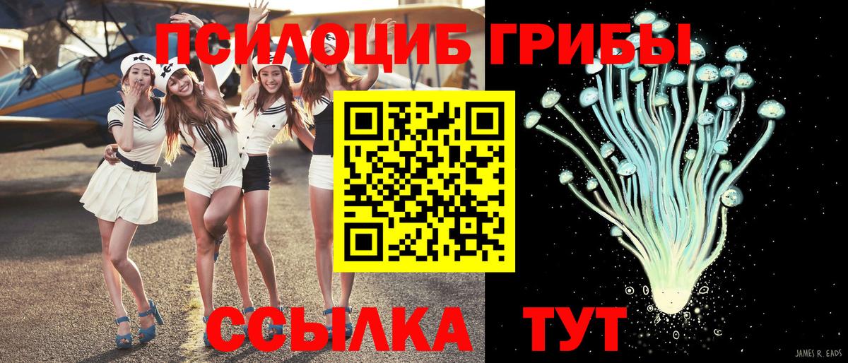 Карталы  Псилоцибиновые грибы MAGIC MUSHROOMS  Псилоцибиновые грибы MAGIC MUSHROOMS  Вход с VPN 