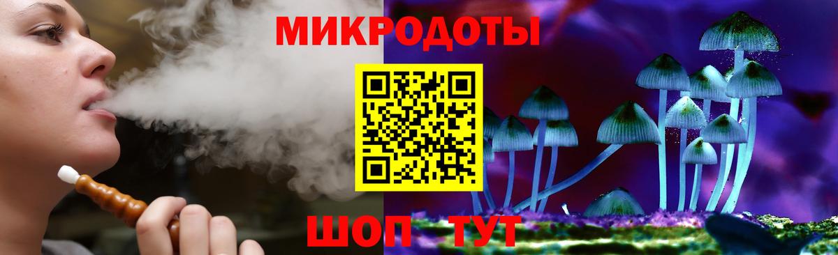 Галлюциногенные грибы Psilocybine cubensis Карталы